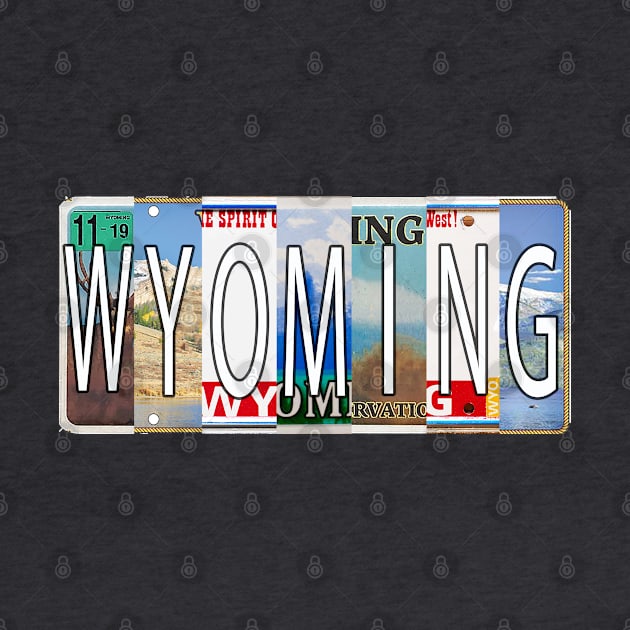 Wyoming License Plates by stermitkermit